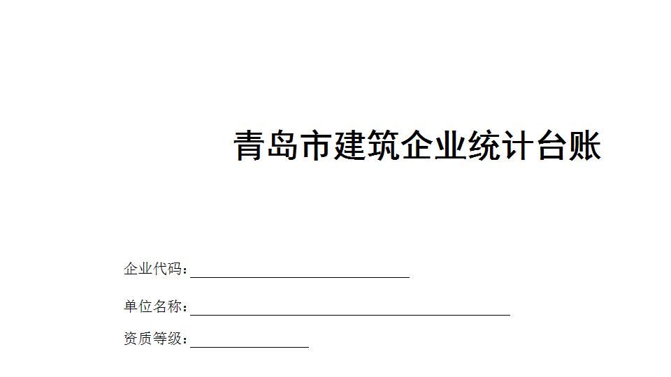 建筑业统计台账.xls