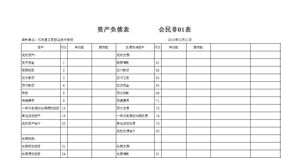 非营利组织-资产负债、业务活动、现金流量表(EXCEL).xls