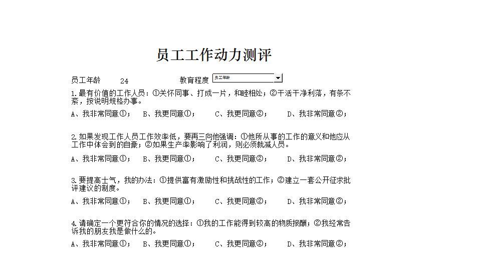 员工工作动力测评.xlsx