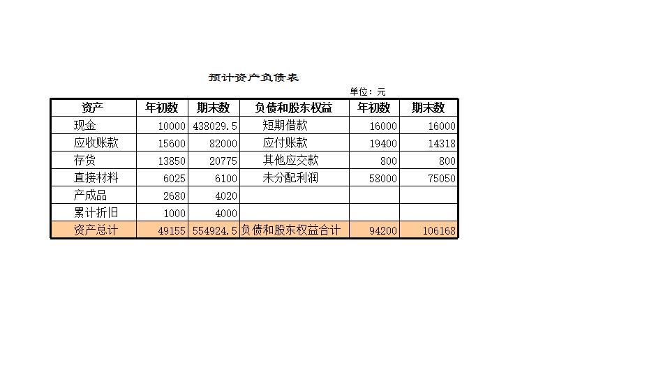 预计财务报表.xls