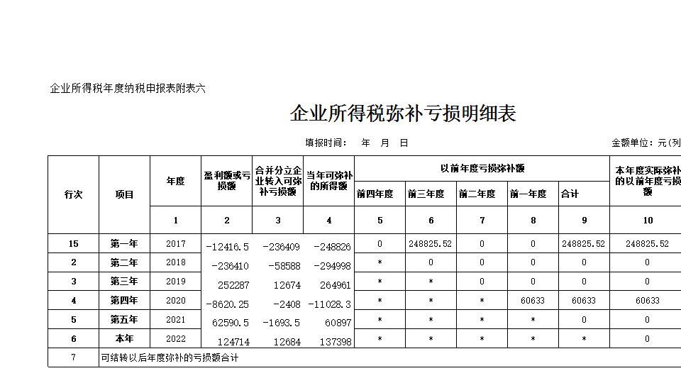 税前弥补亏损明细表.xlsx