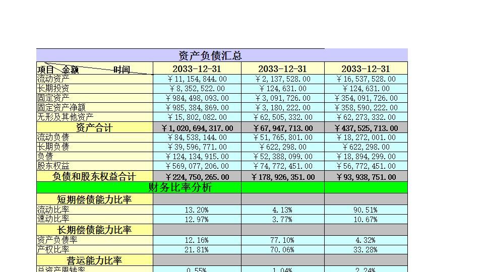 资产负债表1.xlsx