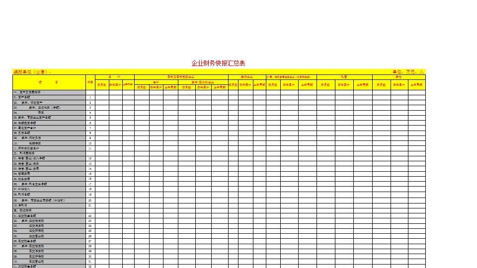 企业财务快报汇总表.xls