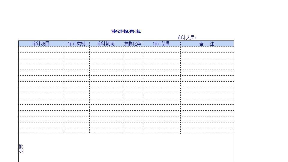 公司审计表报告单.xls