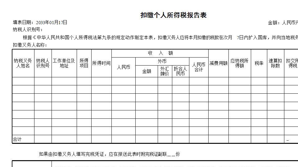 纳税申报报表.xls