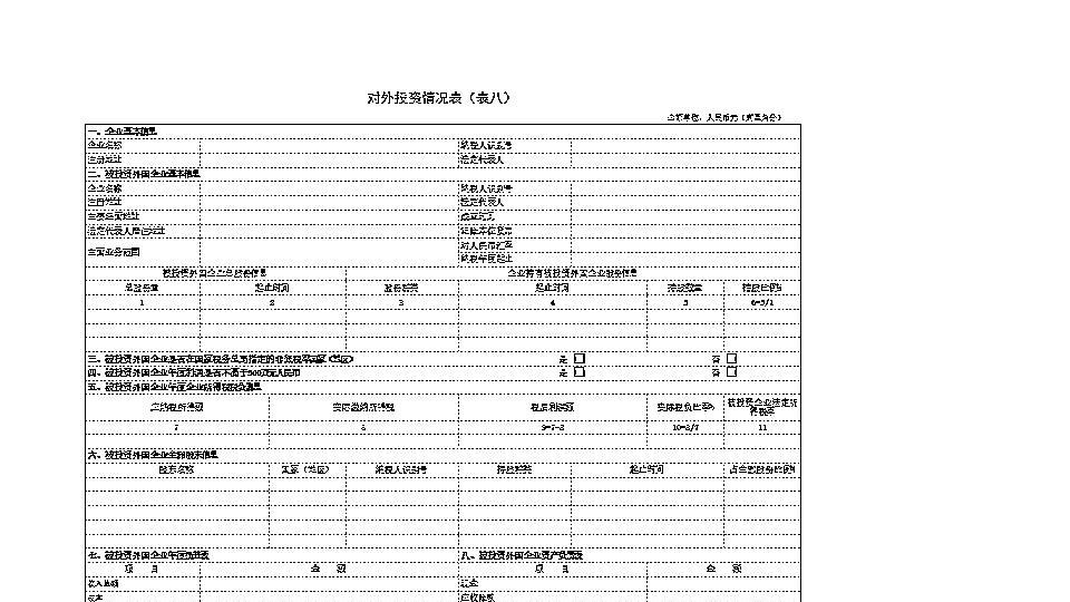 表⒏对外投资情况表.xls