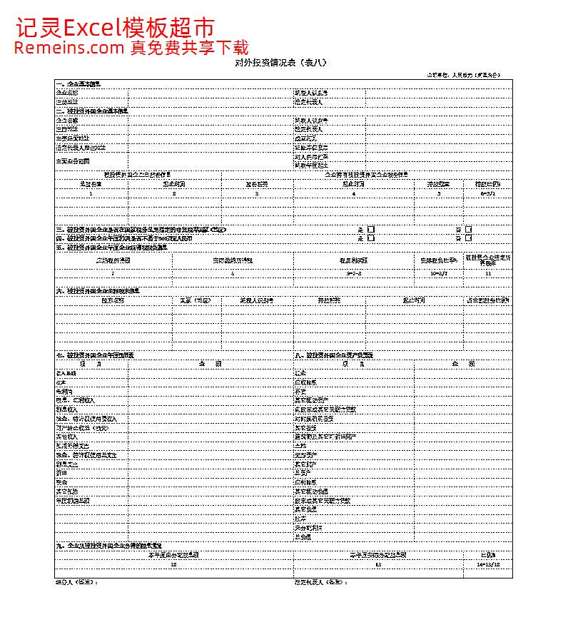 表⒏对外投资情况表.xls