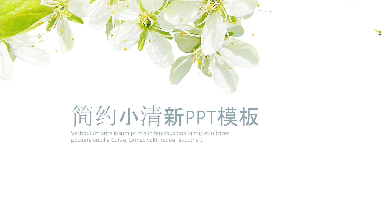商务风格PPT美清新(99).pptx