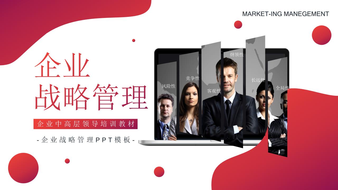 商务风格PPT端商务(65).pptx