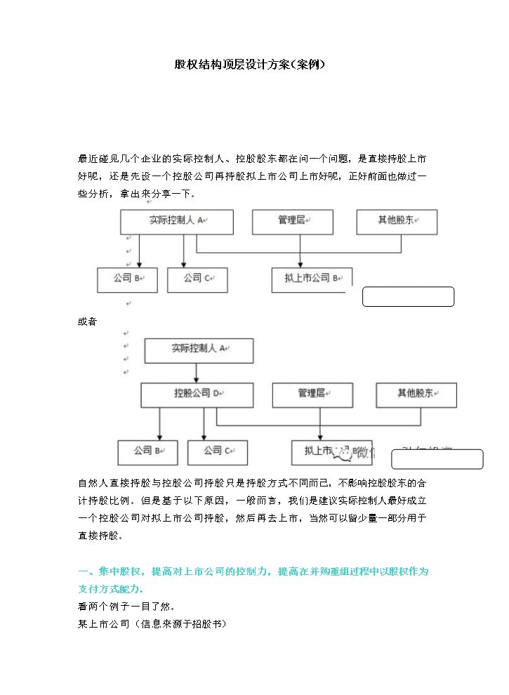 公司股权结构顶层设计方案(案例).docx
