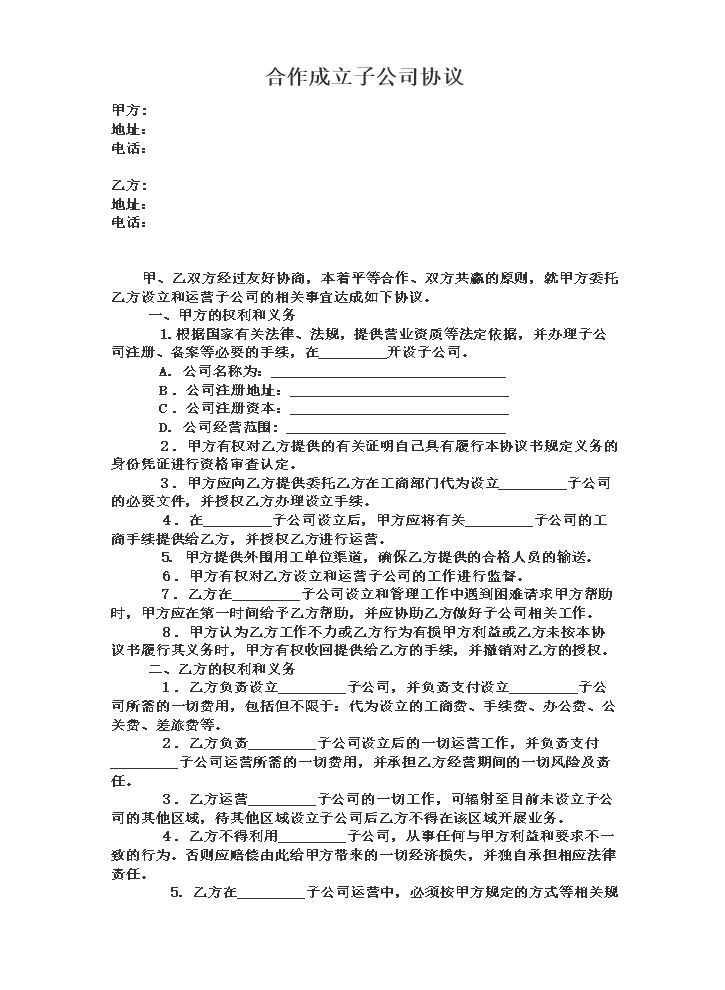 合作成立子公司协议.doc